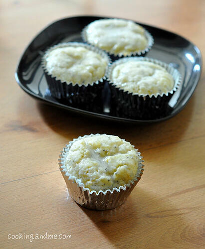 lemon poppy seed muffin