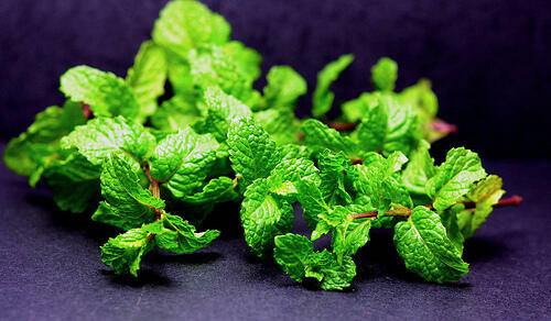 Mint Chutney for Dosa - Pudina Coconut Chutney Recipe Mint Chutney - Pudina Coconut Chutney Recipe