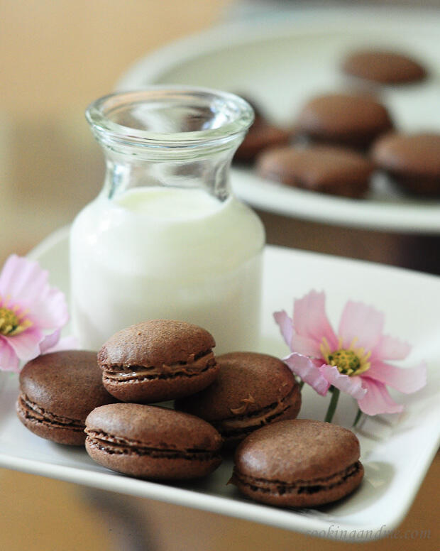 french chocolate macarons recipe