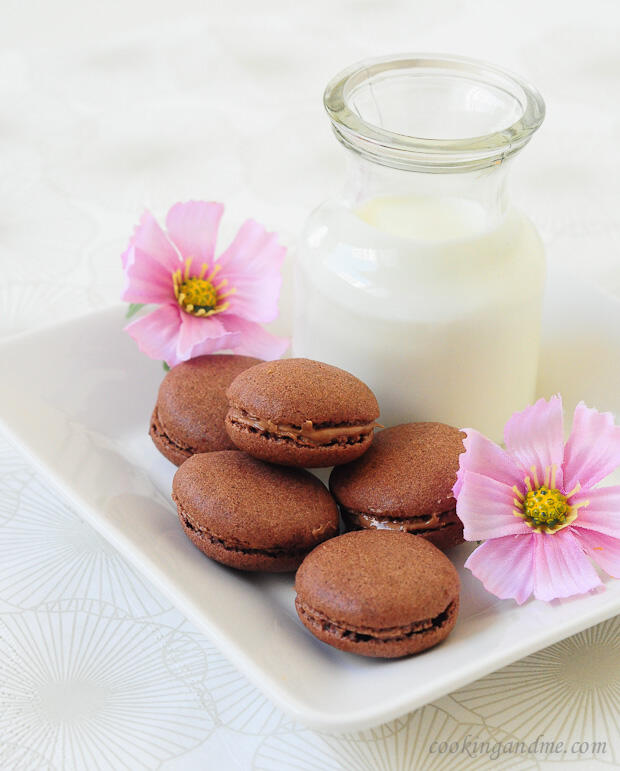 french chocolate macarons recipe