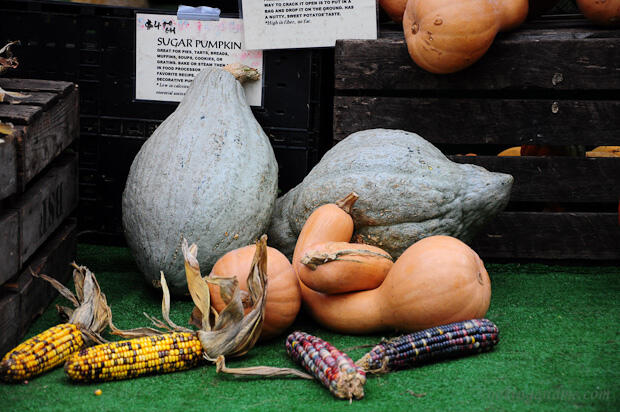 Farmer's Market Images from Union Square New York