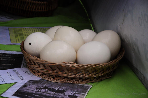 Farmer's Market Images from Union Square New York