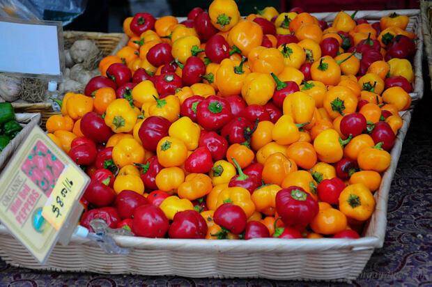 Farmer's Market Images from Union Square New York