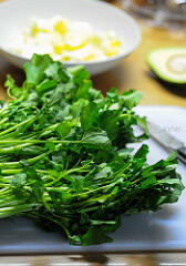 Avocado and Egg Salad Sandwich Recipe