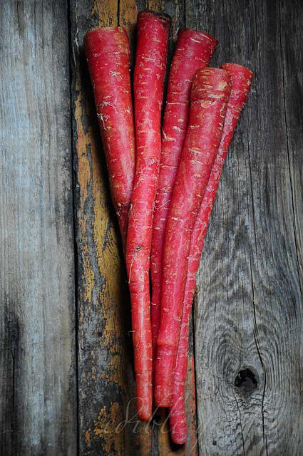Delhi Winter Carrots