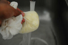 chenna recipe, how to make chenna chenna recipe, how to make chenna