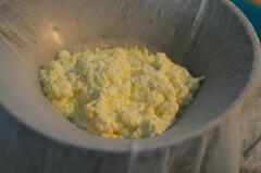 chenna recipe, how to make chenna chenna recipe, how to make chenna