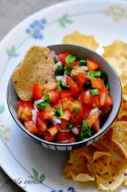 fresh chunky tomato salsa recipe
