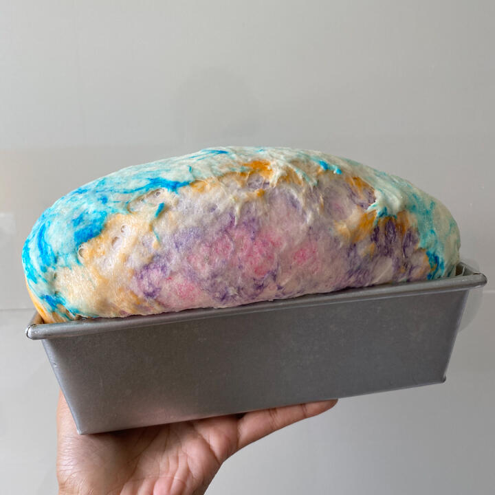 risen bread in loaf pan