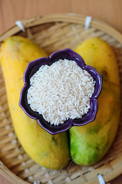 Thai Mango Sticky Rice Dessert Recipe
