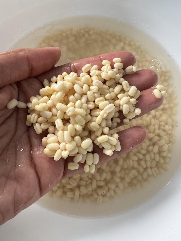 barnyard millet dosa recipe